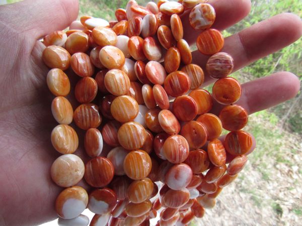 Orange Spiny Oyster SHELL BEADS 12mm Coin from Sea of Cortez bead supply for making jewelry