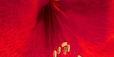 image24