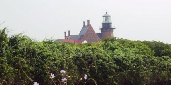 A lighthouse and house behind thick green bushes under a pale sky.