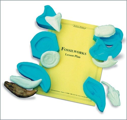 Fossilworks Fossil Molding Kit, Fossils & Dinosaurs: Educational  Innovations, Inc.