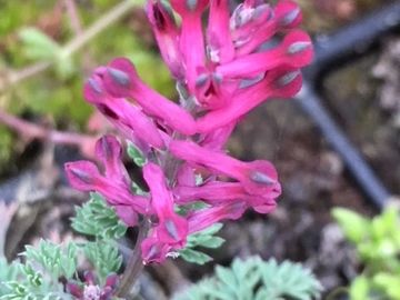 FUMITORY
Money
Exorcism