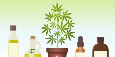 forbes article CBD cannabis covid-19