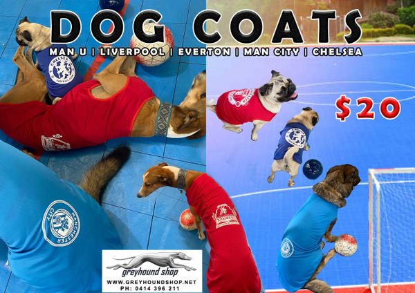 Everton dog outlet coat