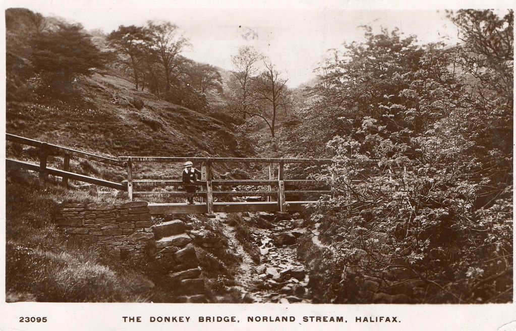 The Donkey Bridge