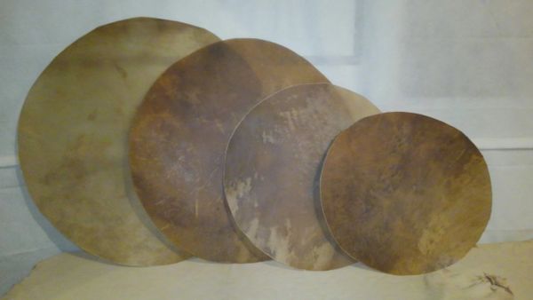 Cow Rounds - Drums