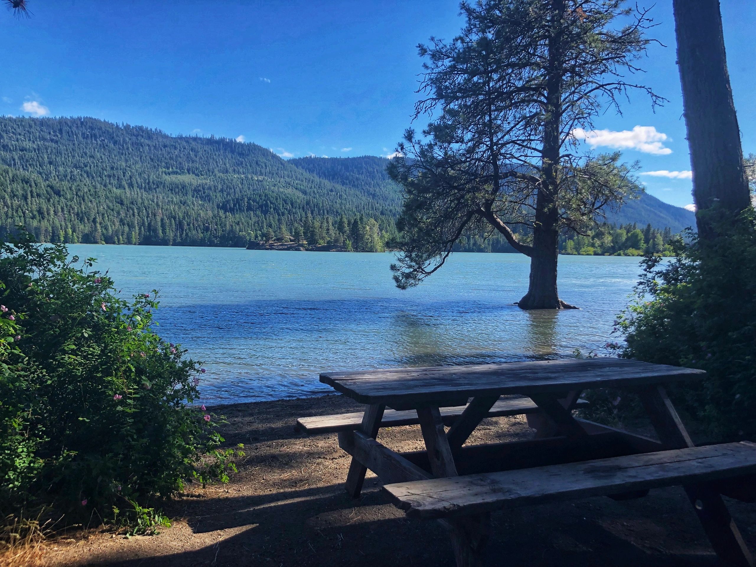 Discovering Silver Beach Resort and Restaurant in Naches: A Comprehensive Guide to Prices and Experiences