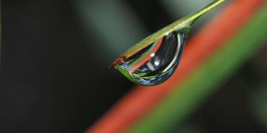 Photography Course Alwyns Photo School Melbourne