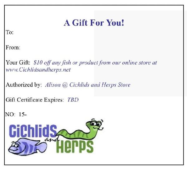 Gift Certificate $10