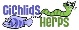 Cichlids and Herps Store