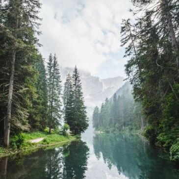 Scenic mountain lake surrounded by pine trees.