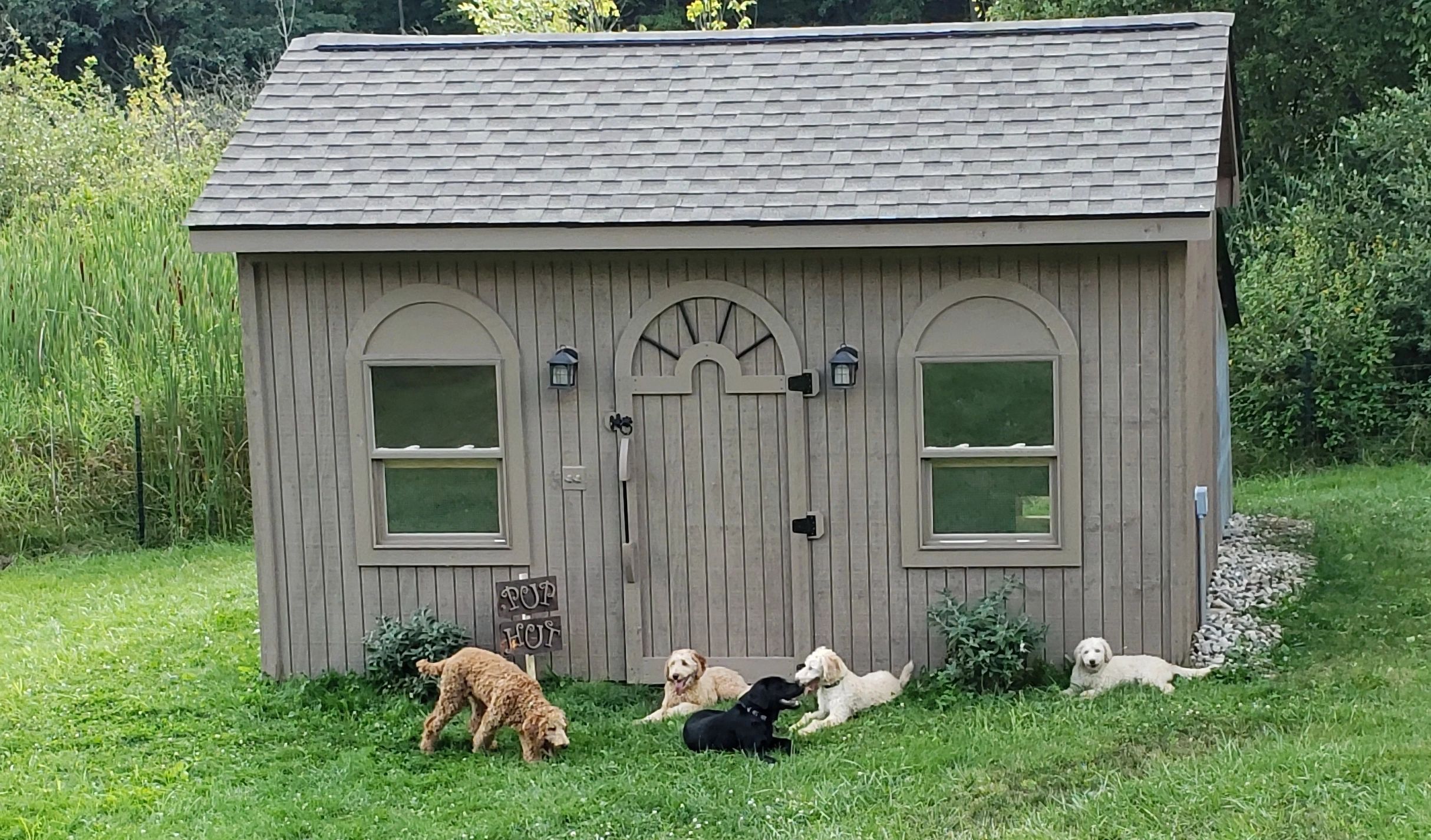 The cabin, one of our dogs play areas.