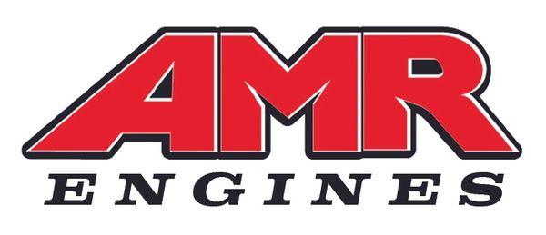 AMR Off-Road Buggy Engine Mod Service