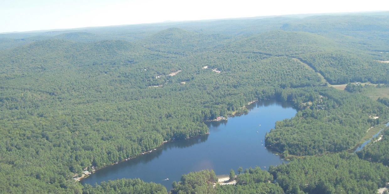 History of Forest Lake