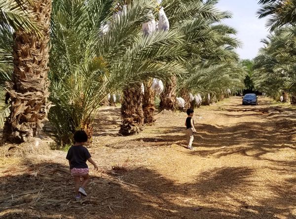 Rancho51 Dates Rancho 51 Dates Our Story