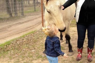 Horses, quarter horse, kids and horses, horse rescue, animal sanctuary.
