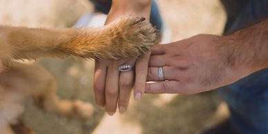 A dog's paw resting on top of two hands.