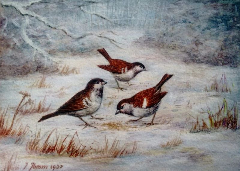 3 birds.jpg