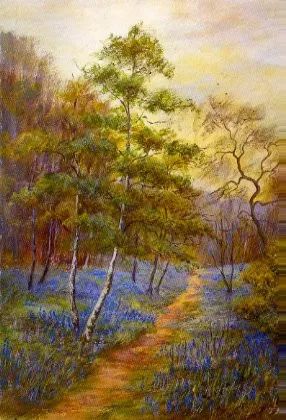 Bluebell_walk.webp