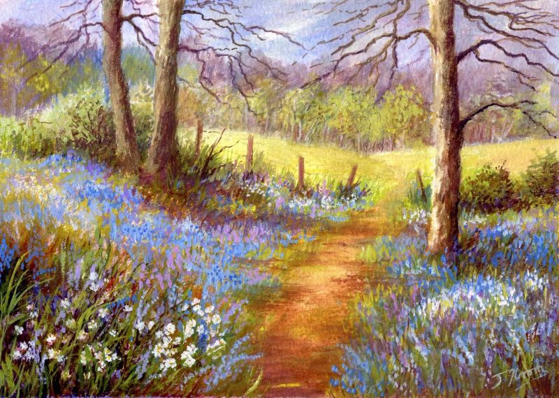 Bluebell_wood-2600abb.webp