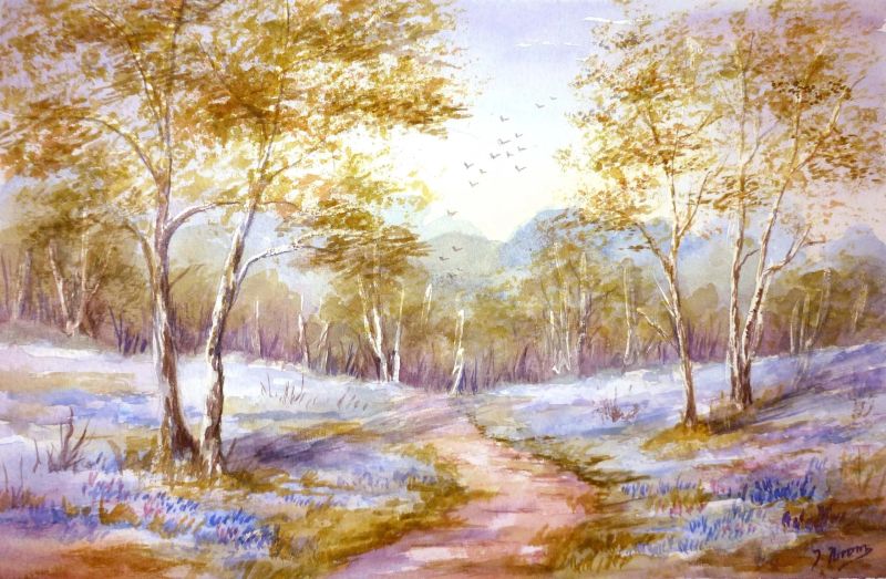 bluebell_watercolour.webp