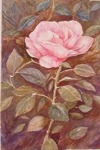 rose.webp