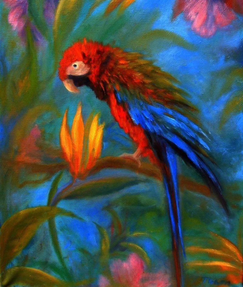 tropical_parrot_2.webp