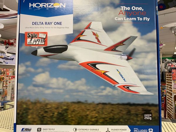 Delta Ray ONE Ultra Micro Delta Wing Trainer Beginner (EFL9500)