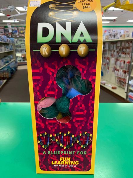 DNA Kit - Painted
