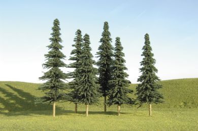 3" - 4" Spruce Trees 32104