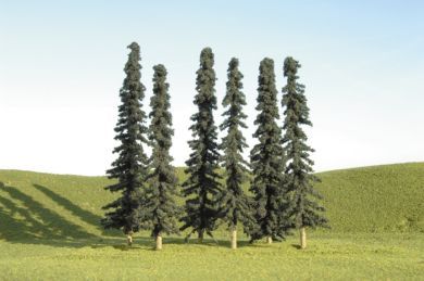 5" - 6" Conifer Trees 32003