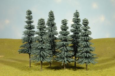 5" - 6" Blue Spruce Trees 32012