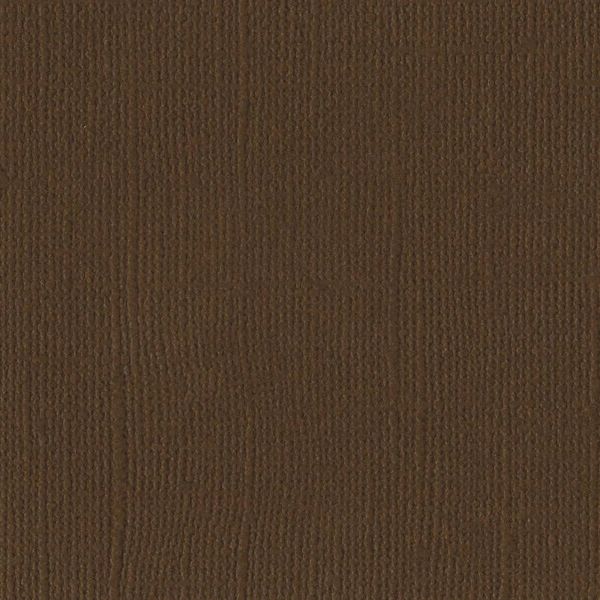 Bazzill Mono Cardstock 12"X12" Pinecone