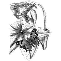 LaBlanche Silicone Stamp-Elegant Flower