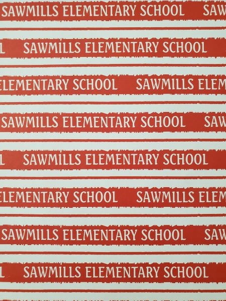 Sawmills Elementary School Paper