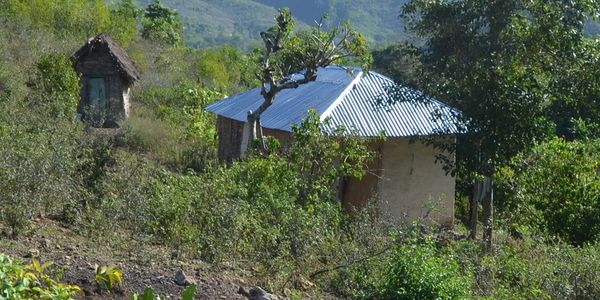 People in rural communities in Haiti need a roadway in order to work and support their families. A bulldozer is needed to support this cause.