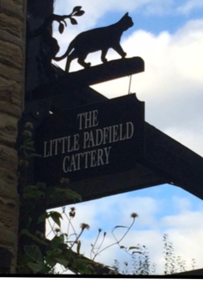 The Little Padfield Cattery