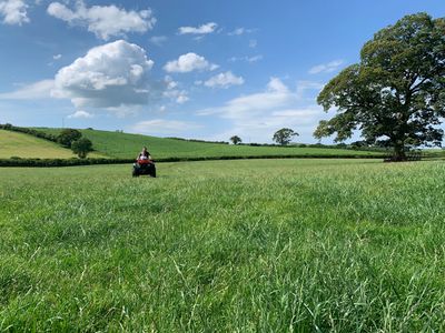 Farmer James in his lush pasture