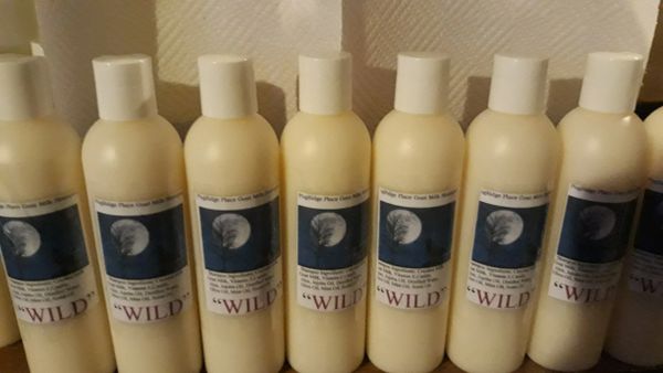 Goat Milk Shampoo 8oz