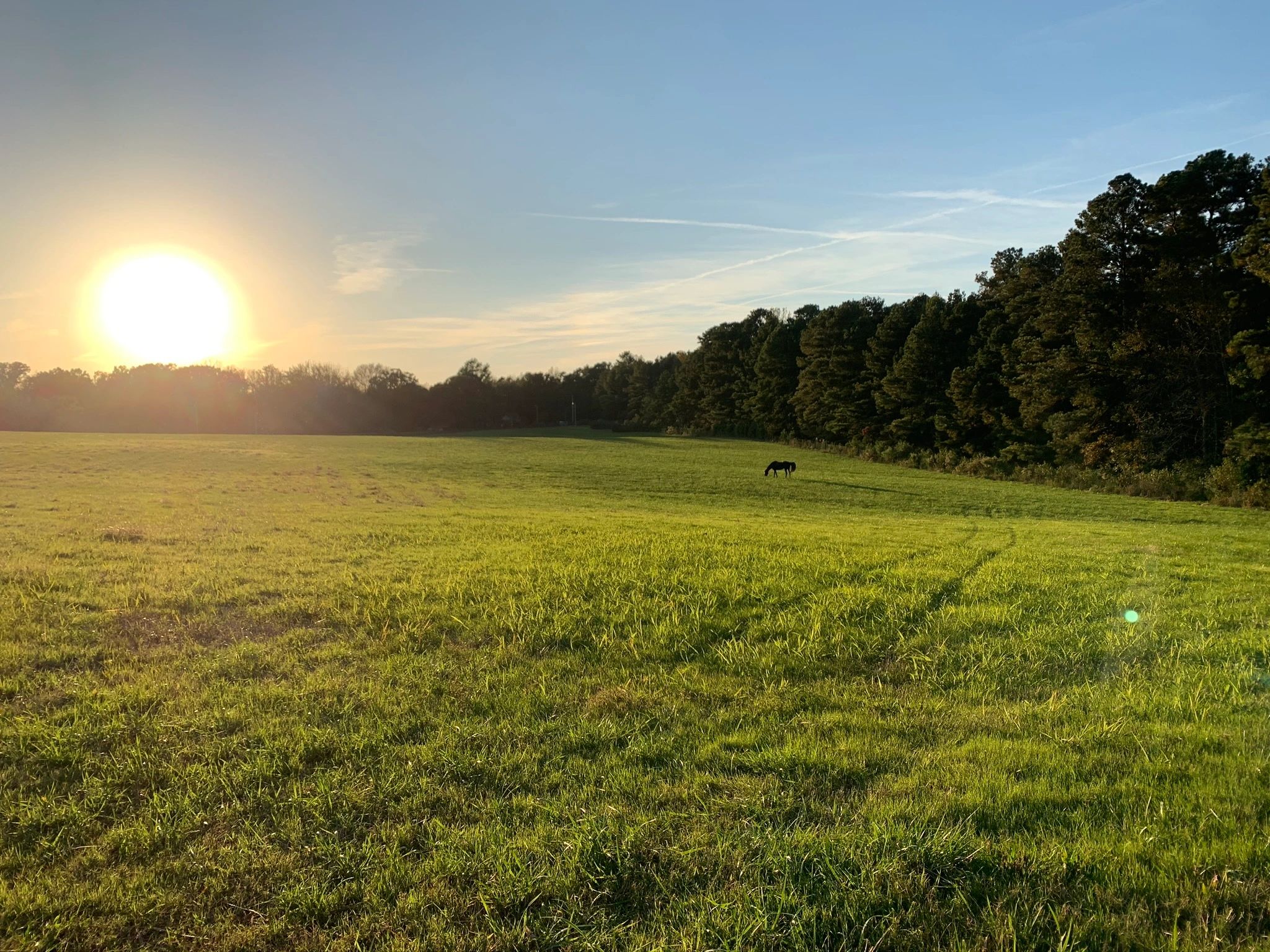 Tequila Sunrise Farm And Stables