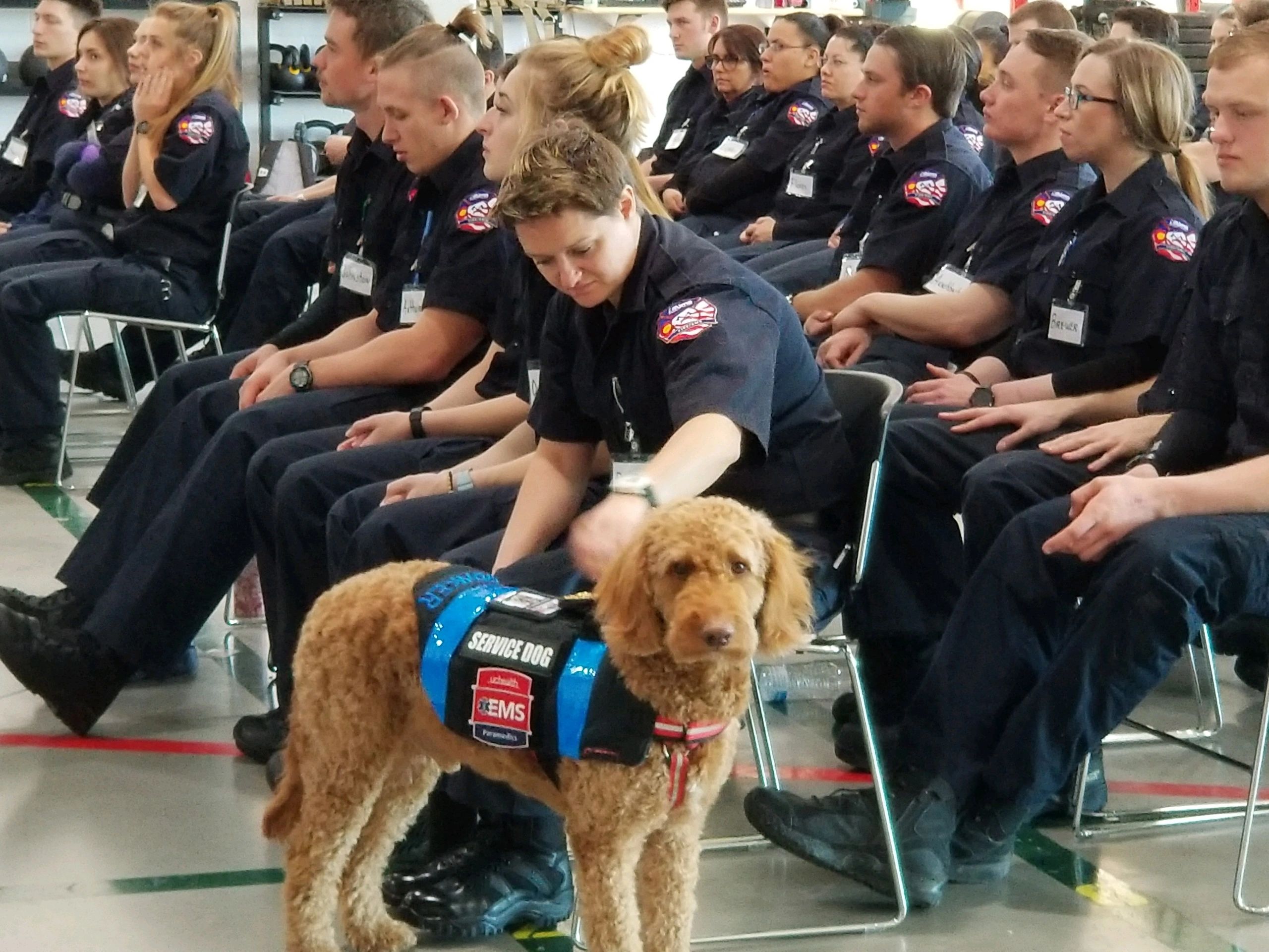 First Responder Trauma Counselors, trained K9 Teams are always around Bunker K9 loves to visit.