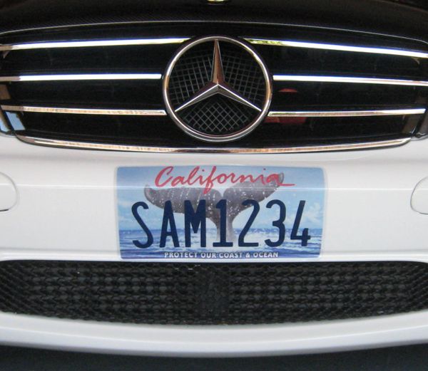 3. Coastal License Plate Wrap