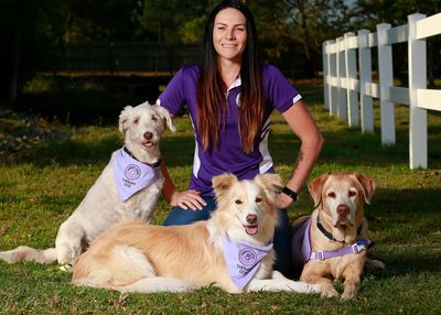 therapy dog trainer
animal assisted therapy trainer