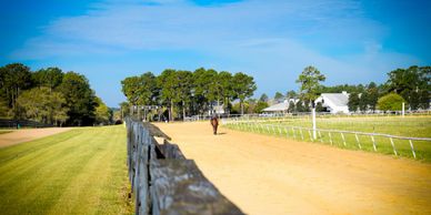 Elite Thoroughbreds Farm-Services