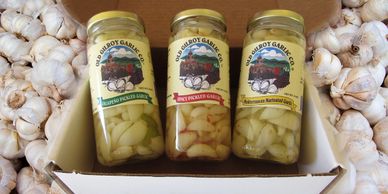 3 jars of pickled garlic in a white gift box on top of a pile of fresh garlic bulbs