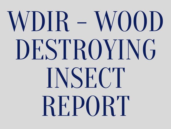 WDIR - wood destroying insect report, pest inspection
Precision Pest and Termite Inc. 
252-482-2847
o