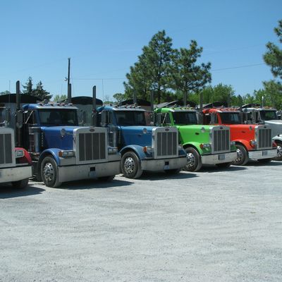 A row of colorful semi trucks parked on a sunny day.