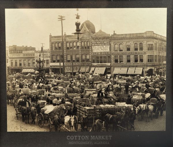 Cotton Market Montgomery, Alabama
