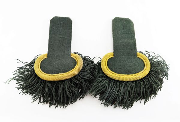 French Chasseur Epaulets / Sold