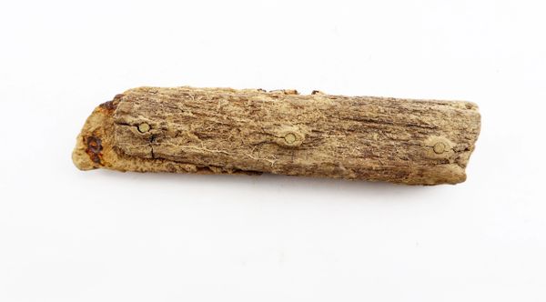 Knife Handle from Gettysburg / Sold