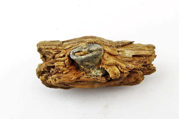 Excavated .58 Caliber Minie Bullet in Wood from The Battle of Chancellorsville / Sold